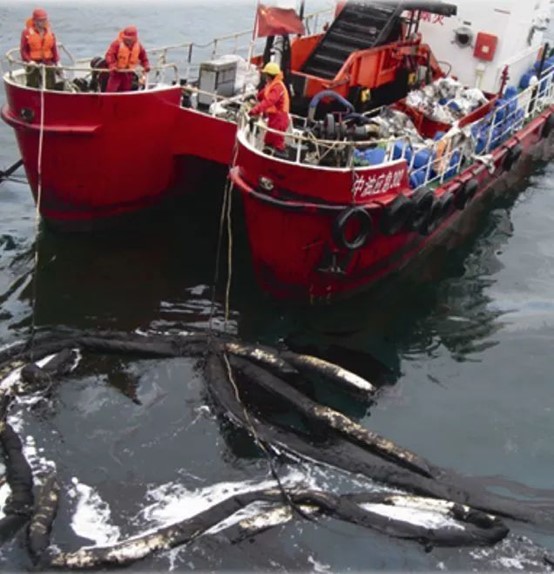 1681352794341877.jpg 圖片6.jpg