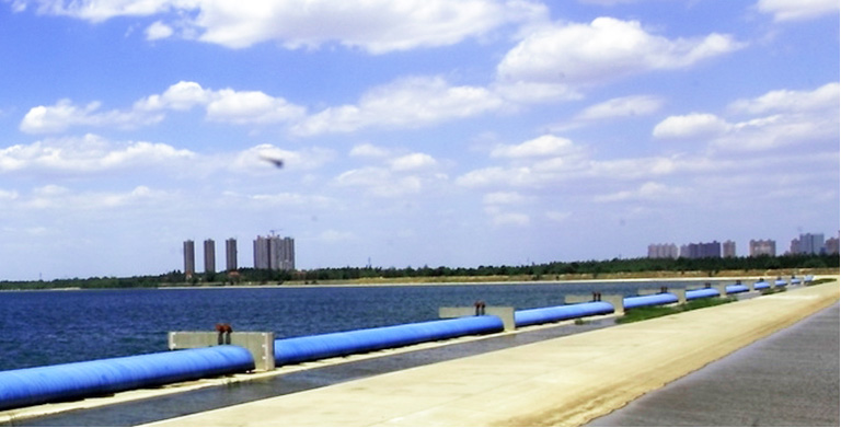 Pillow-Type Rubber Gate