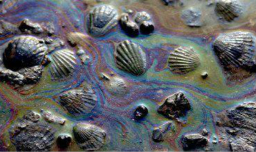 溢油應(yīng)急科普知識——溢油危害