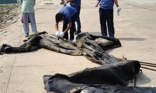 破案了！這就是“三峽水怪”的真面目……